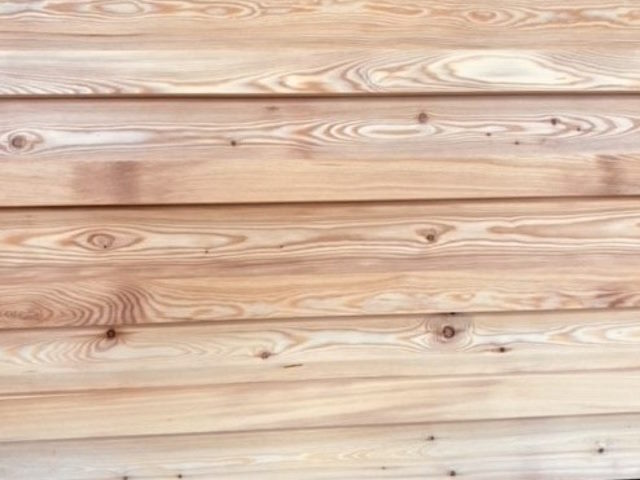 Example of British larch by co2larch