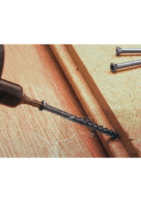 Co2 Larch <sup>®</sup> Stainless Steel Screws